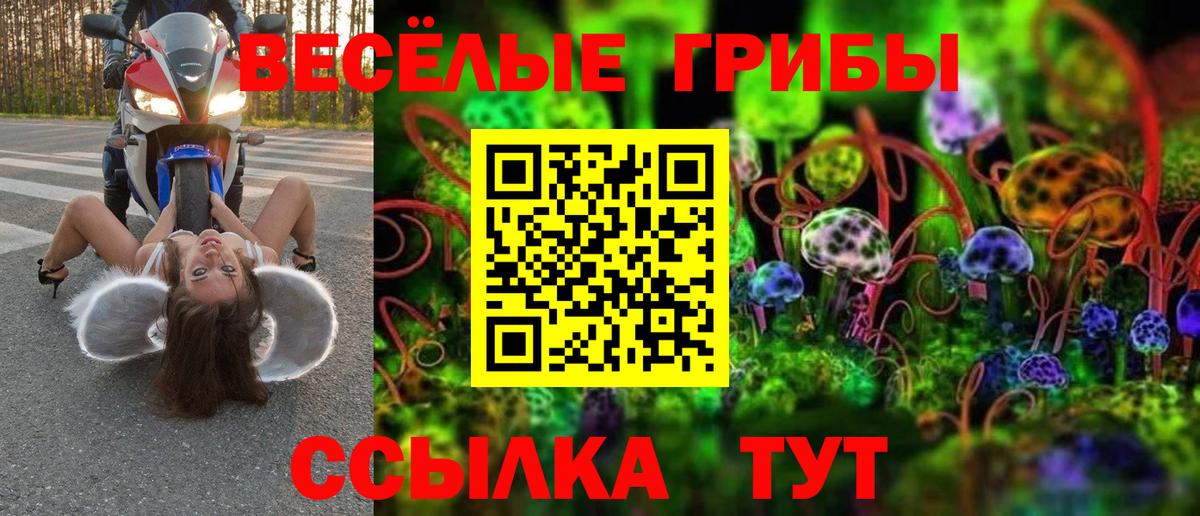 Галлюциногенные грибы GOLDEN TEACHER Сухой Лог