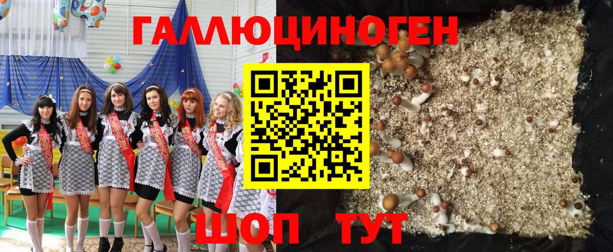 Сухой Лог  Псилоцибиновые грибы Psilocybine cubensis  Вход с VPN 